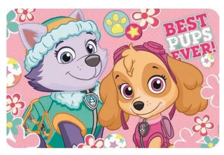 Prestieranie paw patrol skye+everest - skladom, 