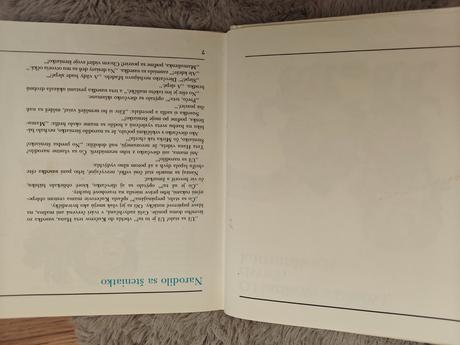 Detská kniha o haríkovi a billovi, dvoch kamarátov,