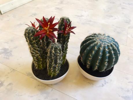 Kvitnúci umelý kaktus, 