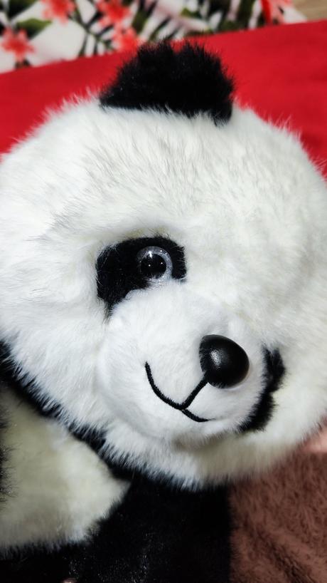 Väčšia plyšová panda,