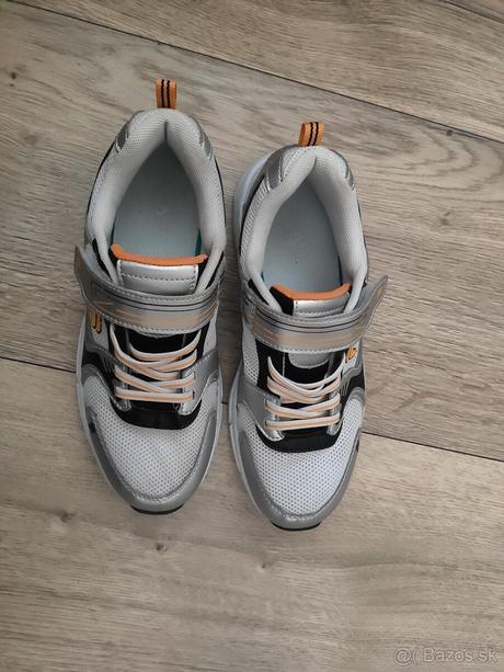 Fila ako nove, fila,36