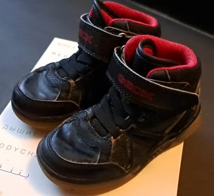 Blikajuce clenkove geoxy, geox,25