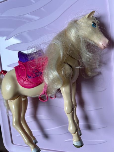 Luxusný barbie domček s najkrajšou barbie zbierkou, 