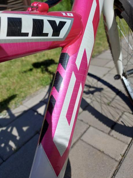 Bicykel willy 1.0 ctm, ctm,24