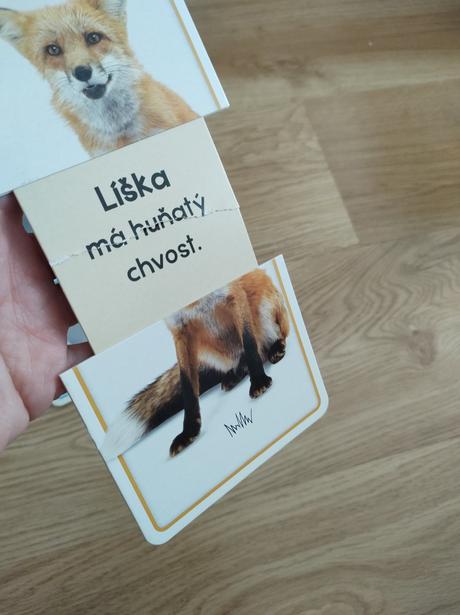 Náučné kartičky - zvieratá, 