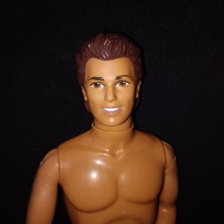 Barbie ken,