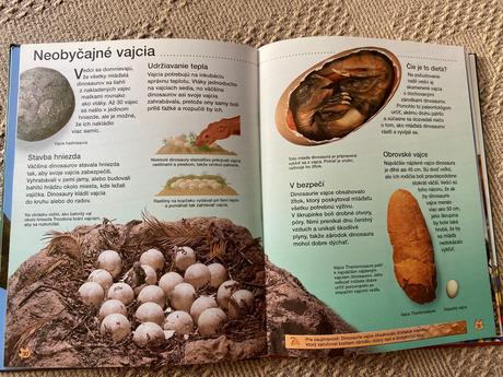 Krásna kniha dinosaury rachel firth,