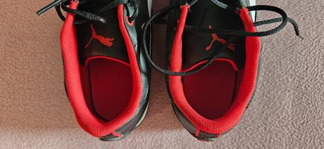 Halovky puma, puma,35