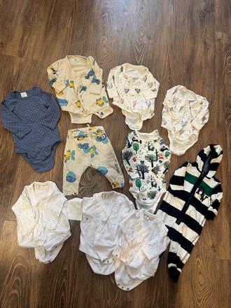 Body lindex, 50–62