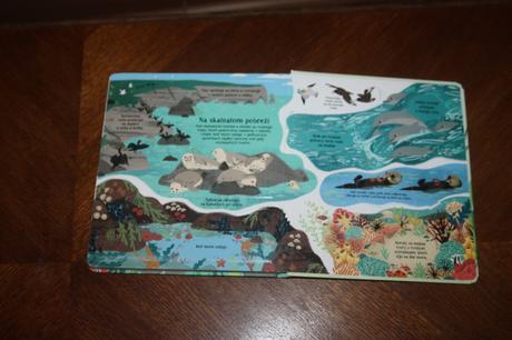 Pozri sa pod obrázok príroda, 