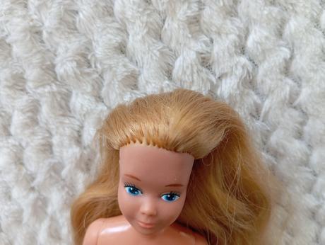 Barbie skipper raritná bábika,