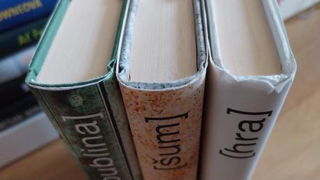 Hra , šum a bublina - anders de la motte, 