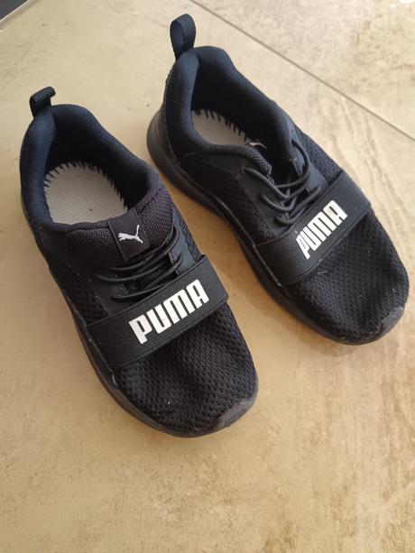 Puma trnisky, puma,27