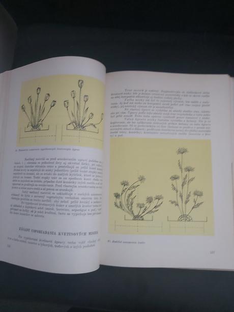 Viazačstvo a aranžovanie kvetín i.vydanie 1979, 