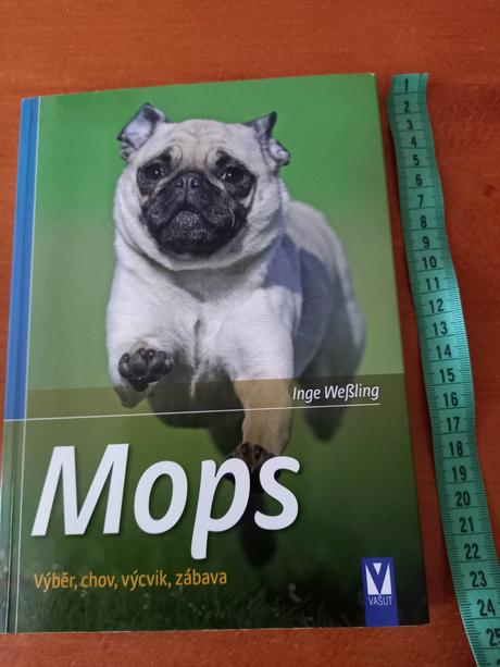 Mops psy mopslíky, 