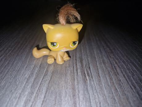 Littlest pet shop 78, 