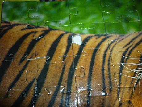 Puzzle tiger 48,