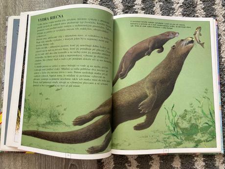 Zvieratá európy-prvé vyd.1997, 