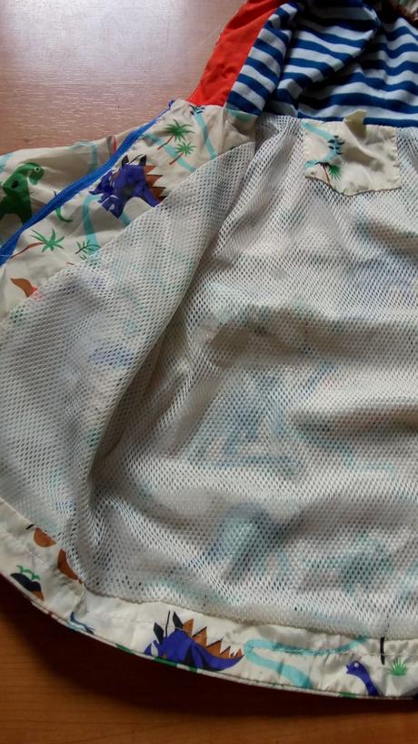 Bundička dinosaurus, 98