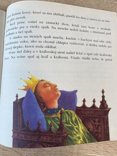 Chlapček palček mini rozprávk grimmovci dukátiky,