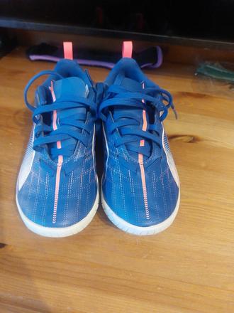 Halovky  puma, puma,33