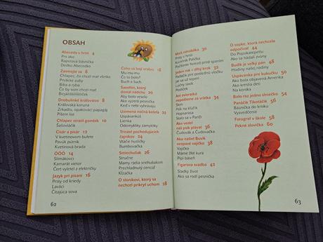 Co caka prvaka kniha,