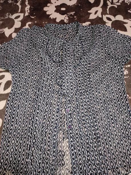 Priesvitná blúzka, 40