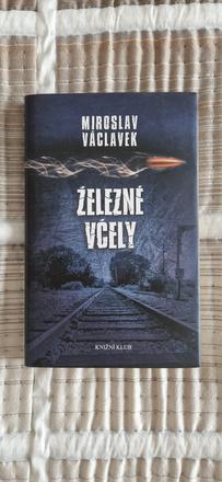 Kniha železné včely,