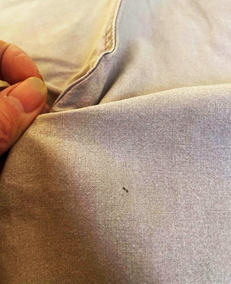 Bermudy s vysokým pásom, 44