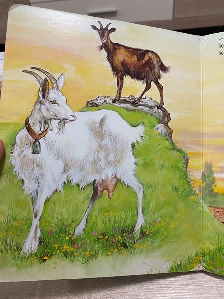 Moje najmilšie zvieratká na dvore leporelo junior,