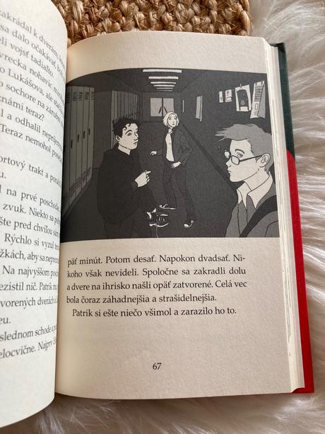 Tigrí tím tajomné stretnutie o polnoci (2014), 