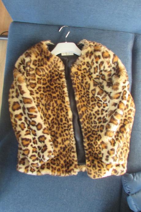 Kabatik leopard, zara,140