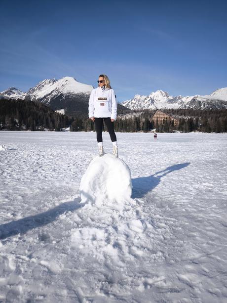 Zimná bunda napapijri, napapijri,xl