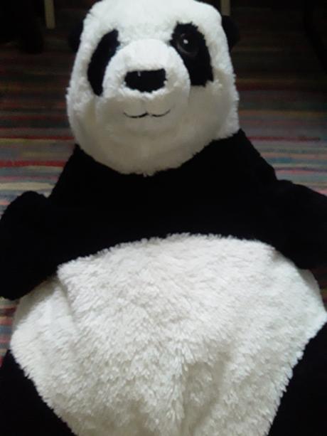 Panda, 