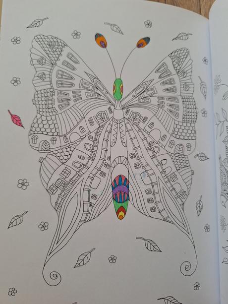 Domčekovo - omalovanka, 