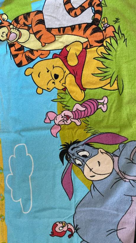 Macko pooh a prasiatko s osuškou, 