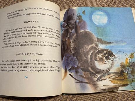 Retro kniha biely zvonček ladislav kuchta 1980, 