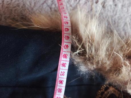 Nádherná vesta s líšky myvalovej, s