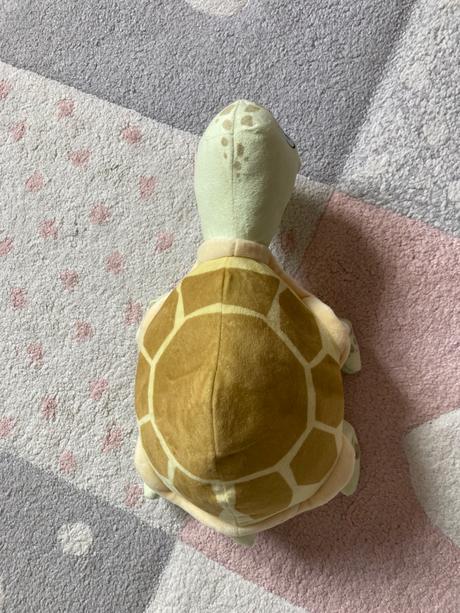 Korytnačka na baterky, 