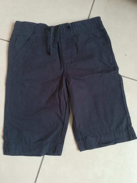 Kratasky, animal,116