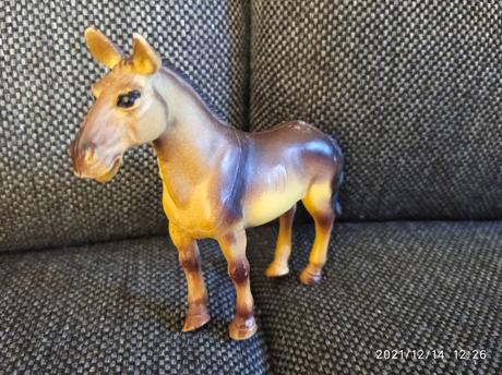 Realist.zvieratka zoo, 