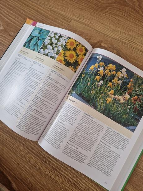 Svojtka kvitnúca záhrada, 