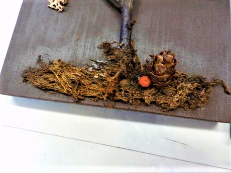 Naturálne obrázky 2 ks, 