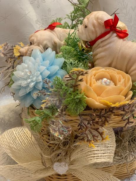 Detska mydlova kytica, 