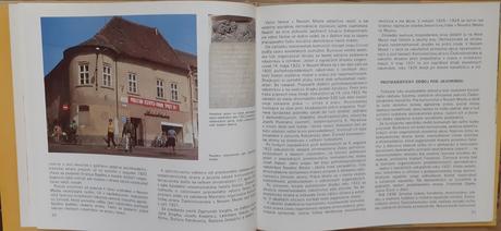 Nové mesto nad váhom, 