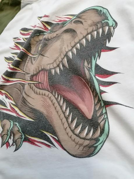 Pyžamo dinosaury, h&m,110