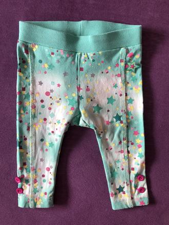 Leginky coccodrillo, coccodrillo,62