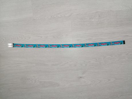 Opasok planes, disney