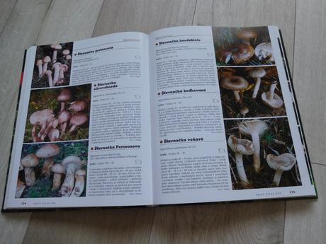 Veľký atlas húb - ladislav hagara, vladimír antoní, 