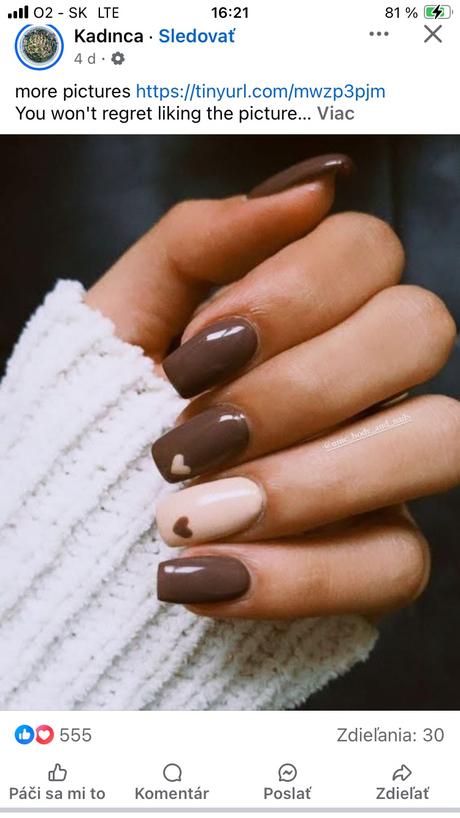 Napapijri zimná paperova vetrovka, napapijri,s